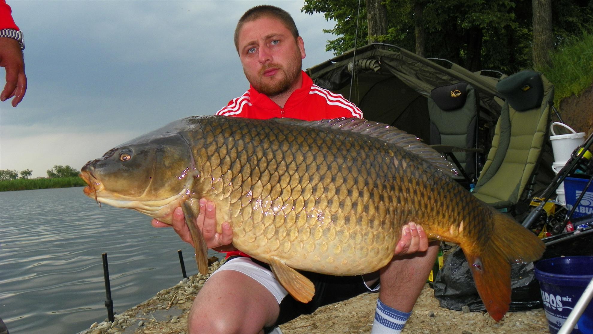 Crapmania (3) - 2011 - 1001641.JPG